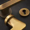 High-end gold and silver metal door handle lock core set, durable and rust-proof home and office door lock accessories combination Application Scenario